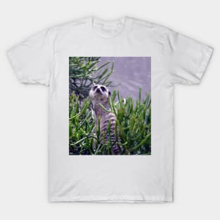 Meerkat T-Shirt